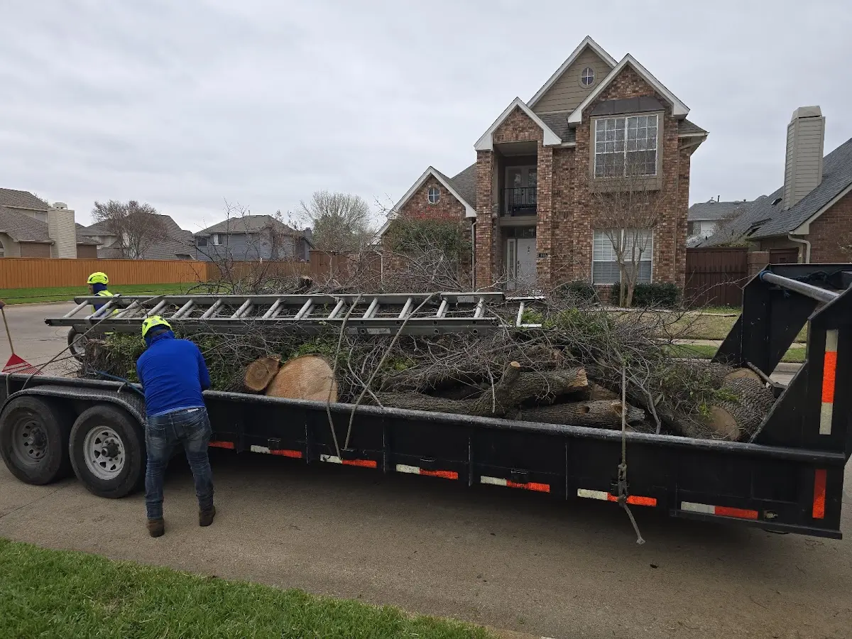 Expert Tree Fertilization with proper safety equipment in Clay City
